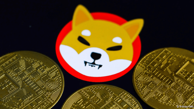 柴犬币（SHIB）社区狂热背后：是泡沫还是价值回归？ - php中文网